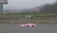 洛阳车祸最新爆料